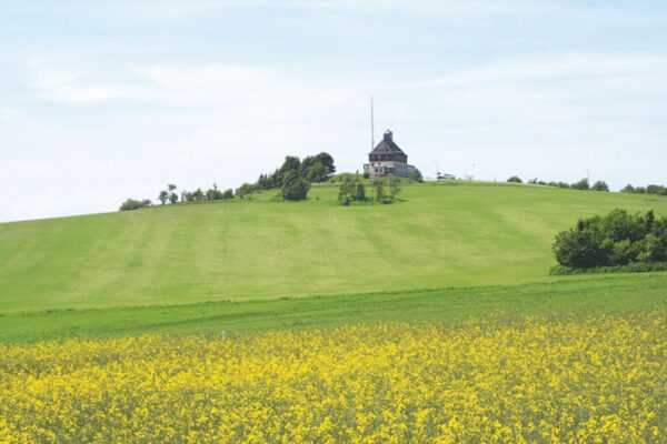 Blick zum Schwartenberg im Sommer