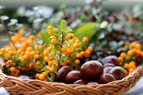 Herbstfest auf dem schönen Schwartenberg